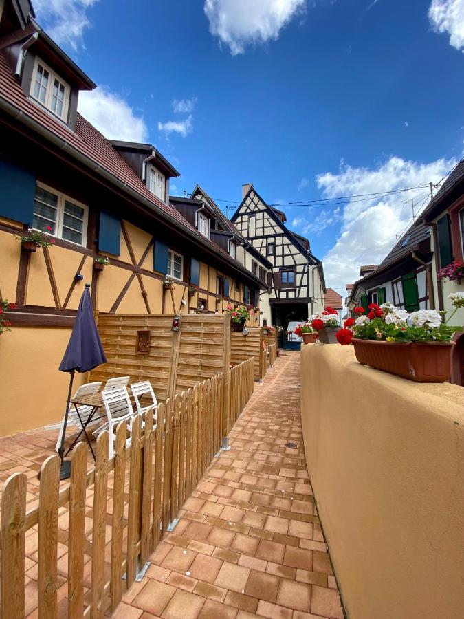 Coeur D'Alsace Colmar Vignobles Ouest Avec Terrasses Villa Wintzenheim Exterior photo